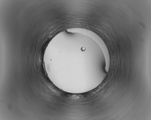 X0000111350566200908071135