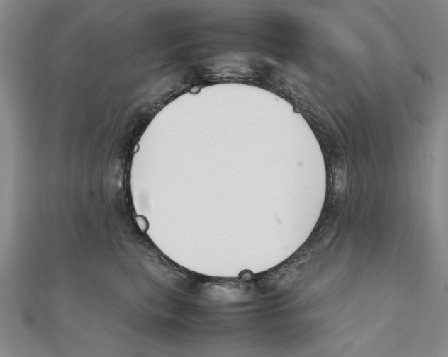 X0000111350567200908071135