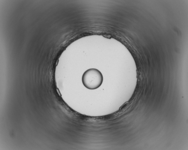 X0000111350568200908071135