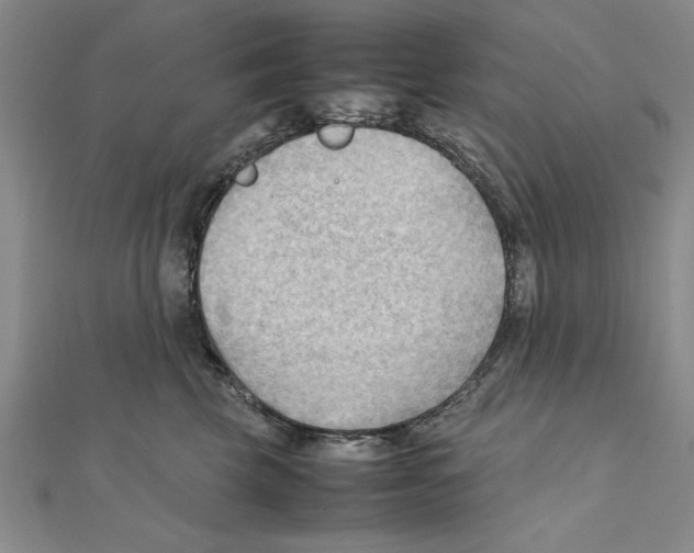 X0000111350569200908071135