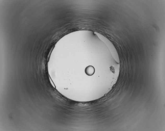 X0000111350570200908071135