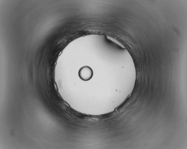 X0000111350572200908071135