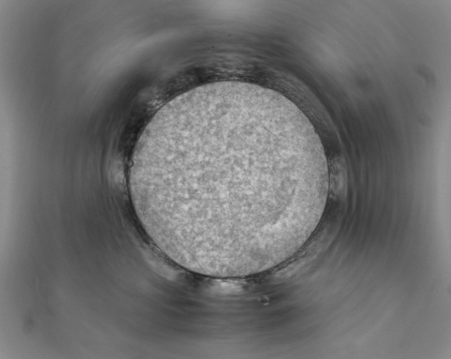 X0000111350573200908071135