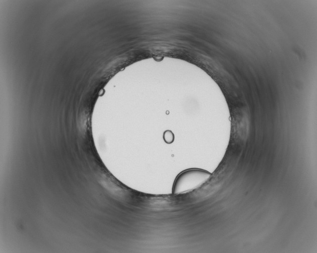 X0000111350574200908071135