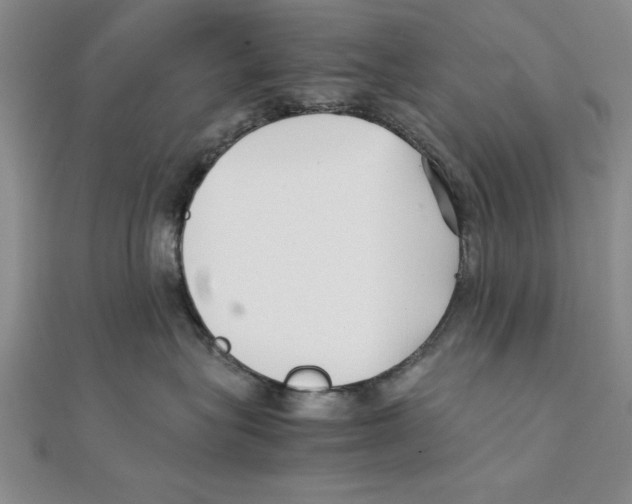 X0000111350575200908071135