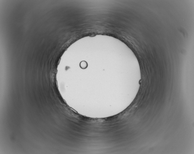 X0000111350576200908071135