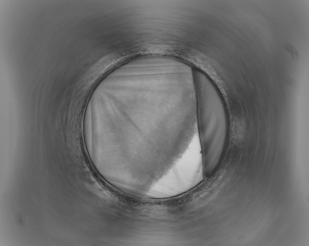 X0000111350577200908071134