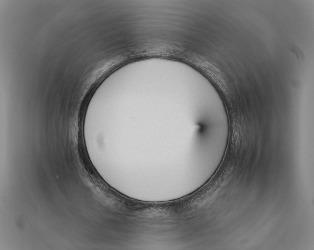 X0000111350578200908071134
