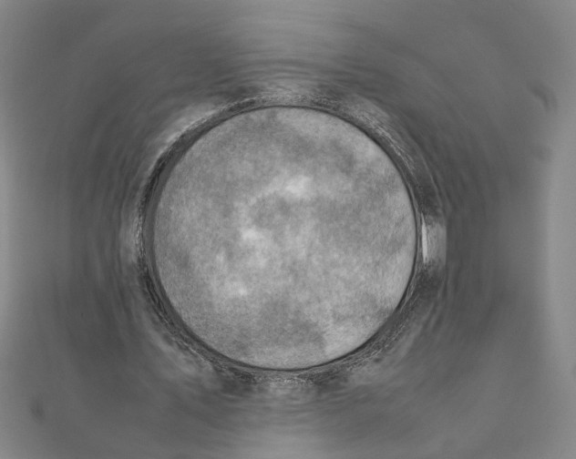 X0000111350579200908071134