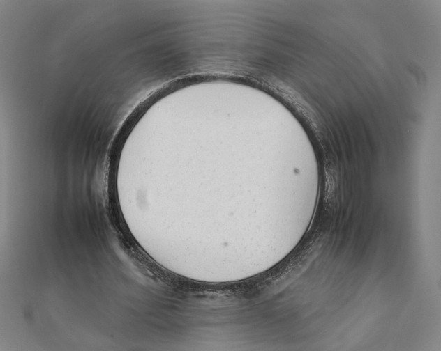 X0000111350580200908071134