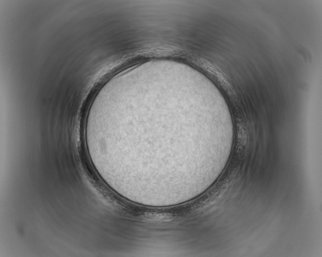 X0000111350582200908071134