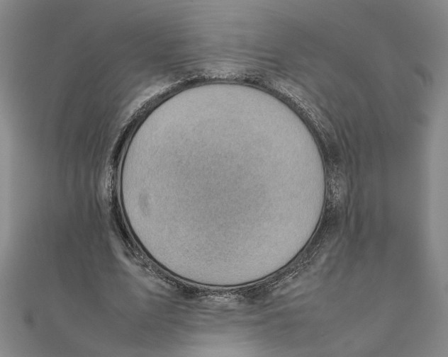 X0000111350583200908071134