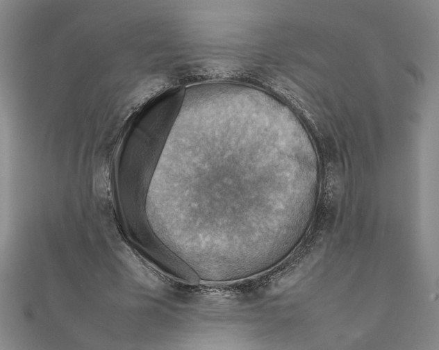 X0000111350585200908071134