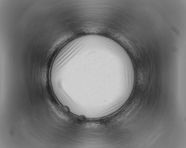 X0000111350586200908071134