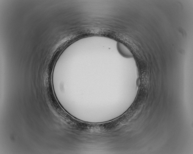 X0000111350587200908071134