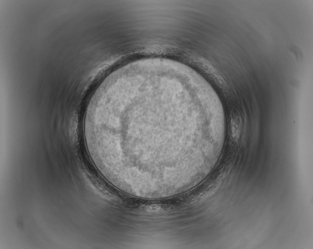 X0000111350588200908071134