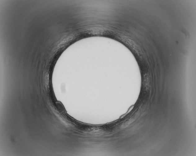 X0000111350589200908071134