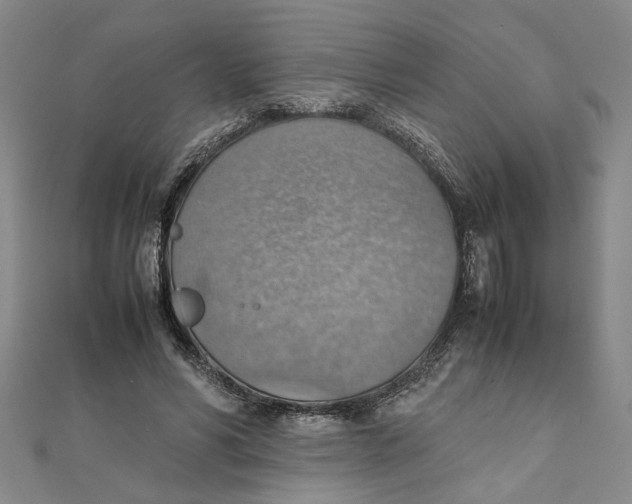 X0000111350590200908071134