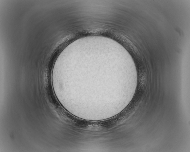 X0000111350591200908071134