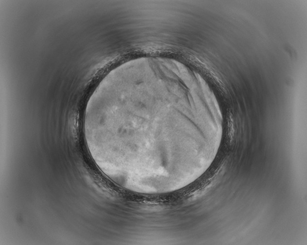 X0000111350592200908071134