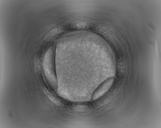 X0000111350593200908071134