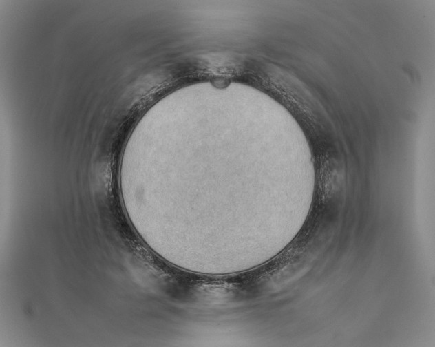 X0000111350595200908071134