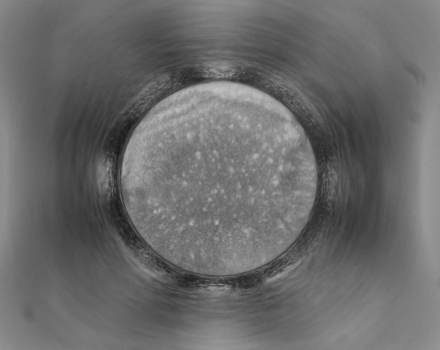 X0000111350598200908071134