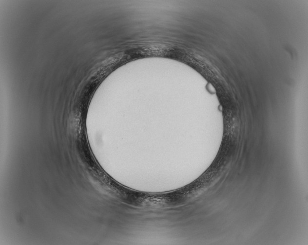 X0000111350599200908071134