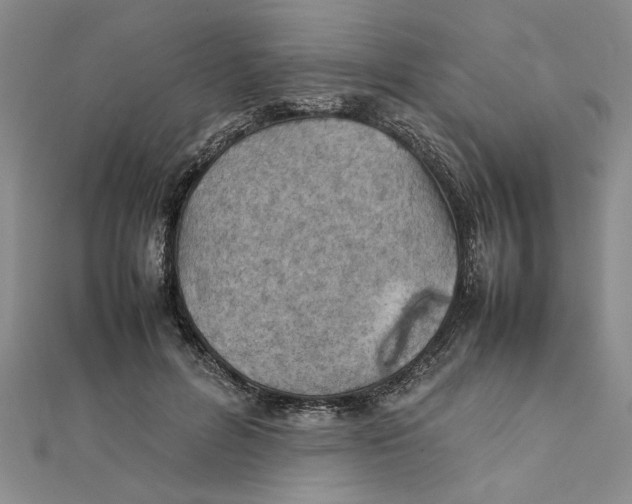 X0000111350600200908071134