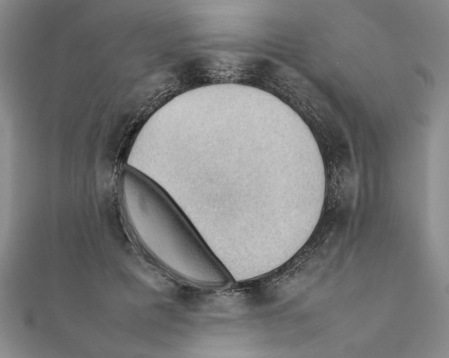 X0000111350601200908071134