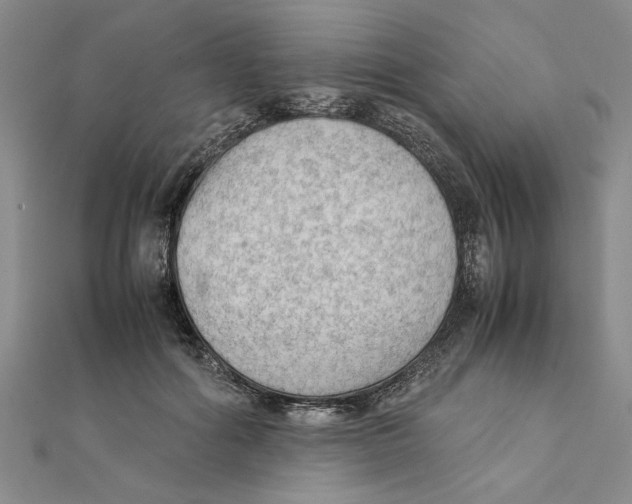 X0000111350602200908071134