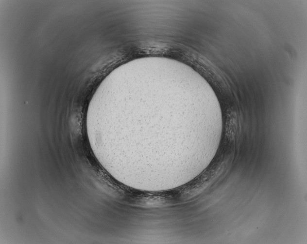 X0000111350604200908071134