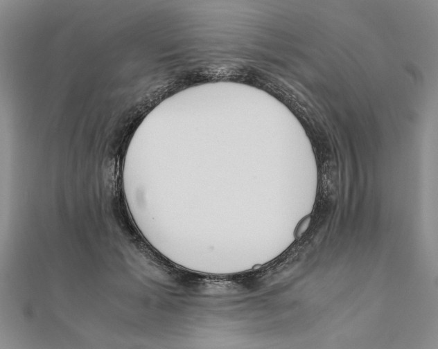 X0000111350605200908071134