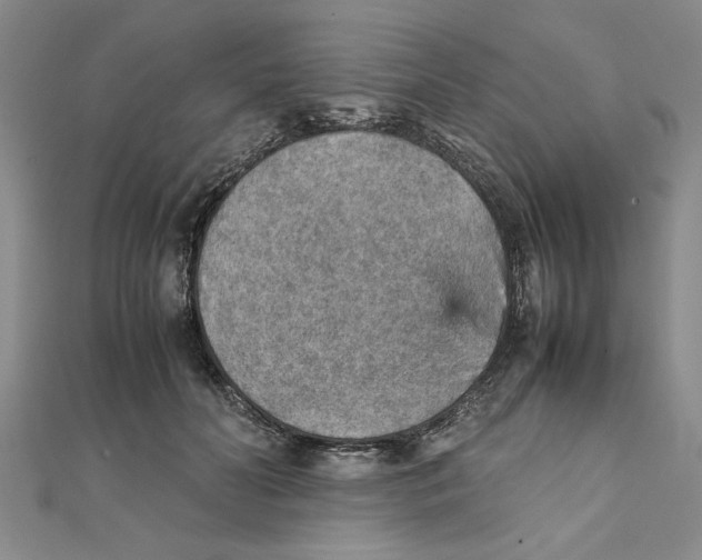 X0000111350606200908071134
