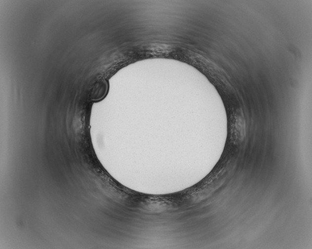 X0000111350608200908071134