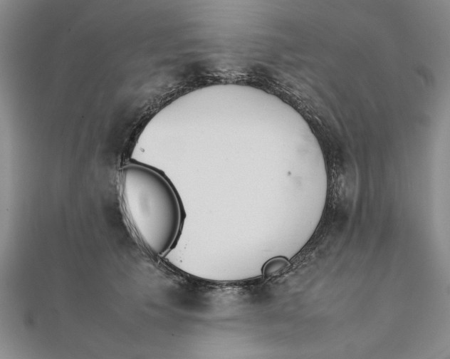 X0000111350609200908071134