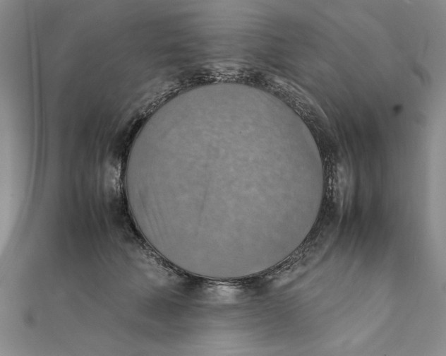 X0000111350610200908071134