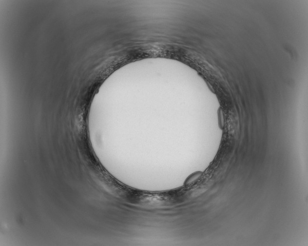 X0000111350611200908071134