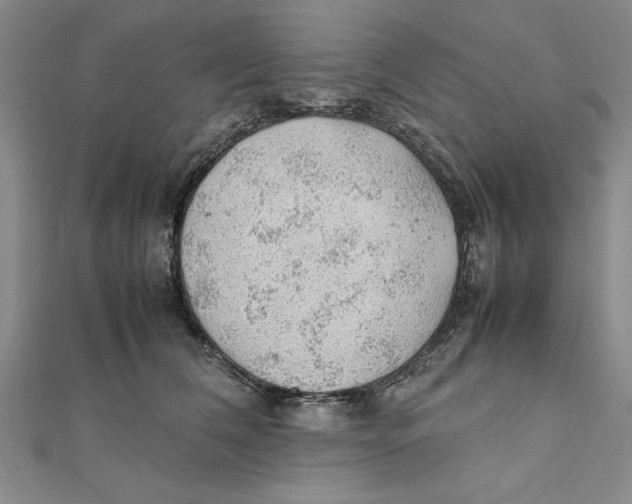 X0000111350612200908071134