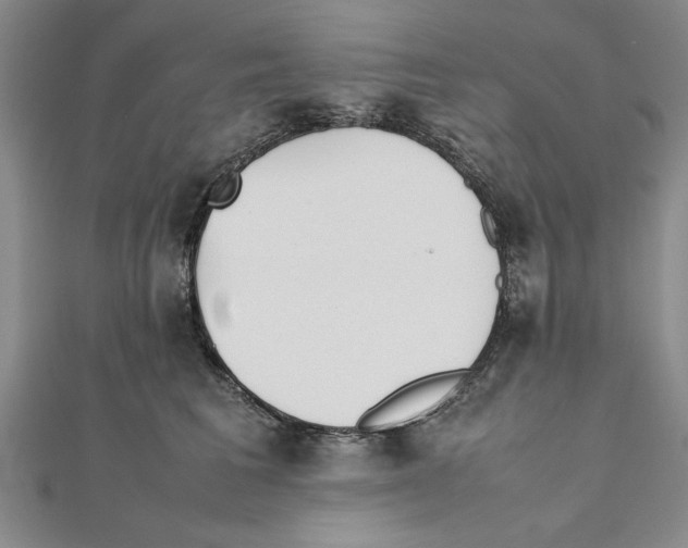 X0000111350613200908071134
