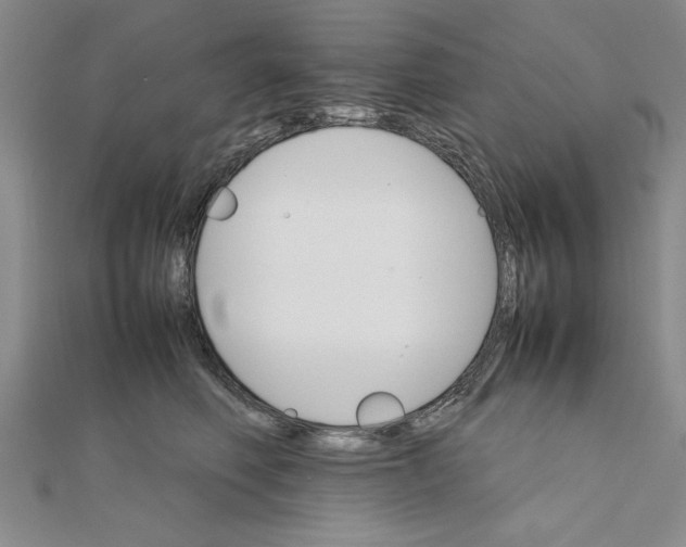 X0000111350614200908071134