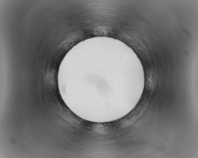 X0000111350616200908071134