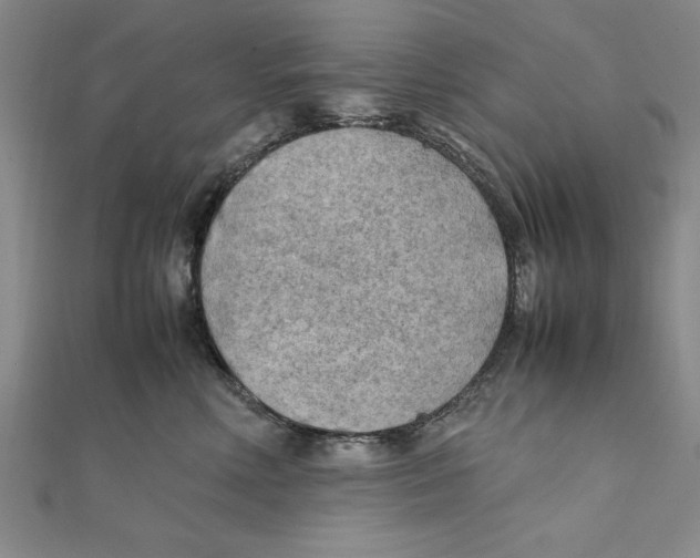 X0000111350618200908071134