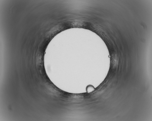 X0000111350619200908071134
