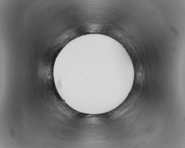 X0000111350620200908071134