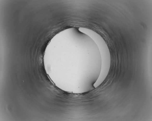 X0000111350621200908071134
