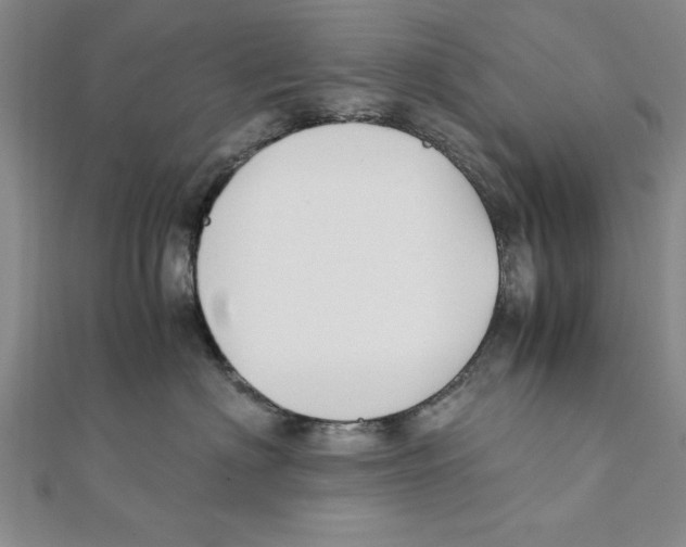 X0000111350622200908071134