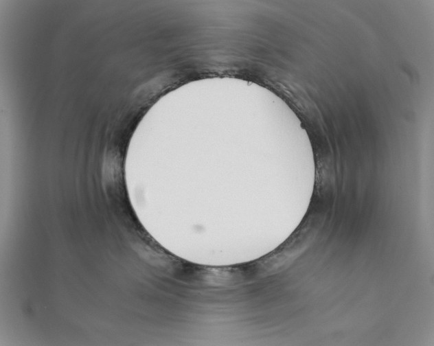 X0000111350623200908071134