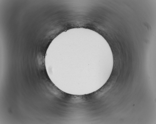X0000111350624200908071134