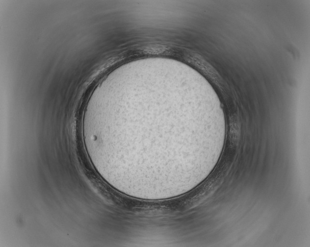 X0000111350626200908071133